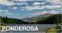 Albuquerque summer camps